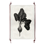Red Beet