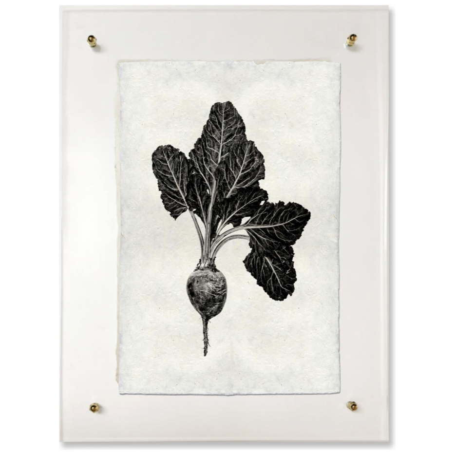 Red Beet