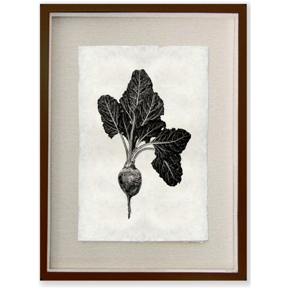 Red Beet