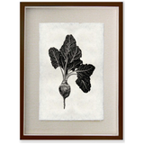 Red Beet