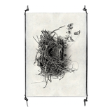 Nest Study #1