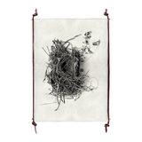 Nest Study #1