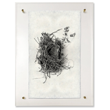 Nest Study #1