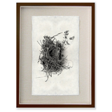 Nest Study #1
