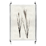 Grass Form