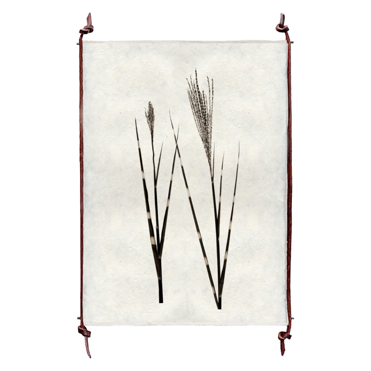 Grass Form