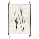 Grass Form