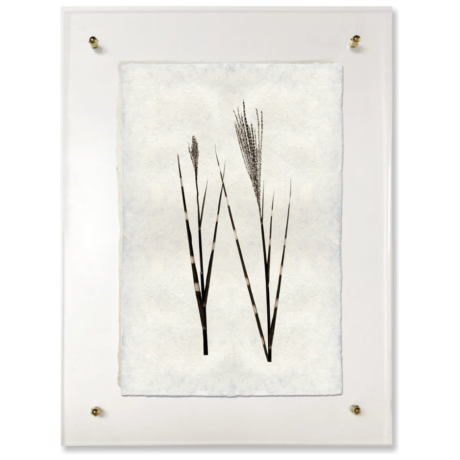 Grass Form