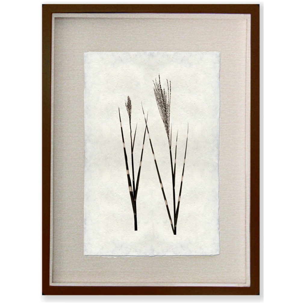 Grass Form