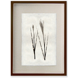 Grass Form