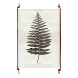 Fern #1