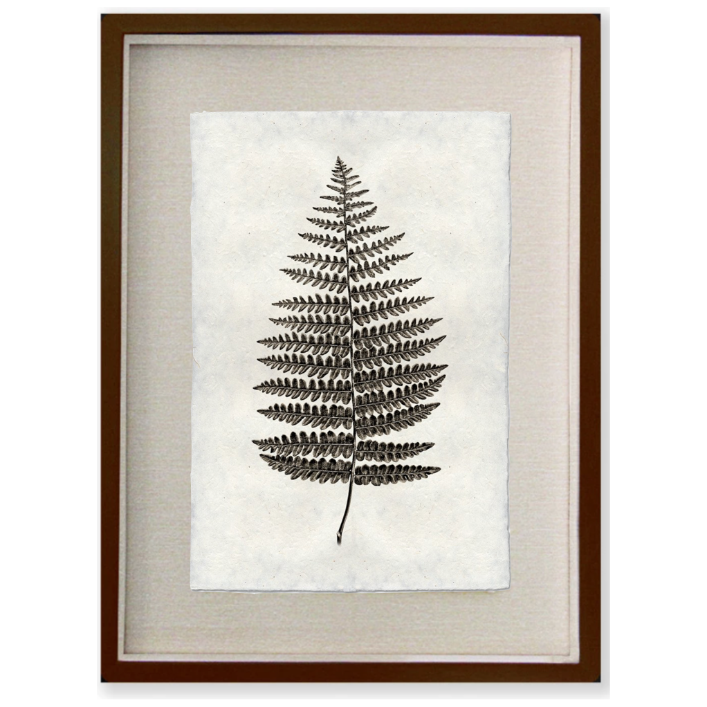 Fern #1