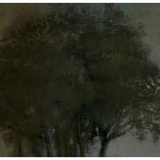 Serene Reflection VIII Art