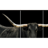 Black Long Horn Triptych Art