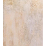 Faded Echoes Art