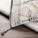 Introducing our Birch Collection Bohemian Global rug, lovingly hand-knotted in India from recycled PET yarn. This sustainable choice not only aids the environment but also provides a cozy medium pile underfoot for your comfort. Its boho-global style infuses any room with a vibrant, eclectic charm that's sure to be the talk of any gathering. Amethyst Home provides interior design, new home construction design consulting, vintage area rugs, and lighting in the Des Moines metro area.