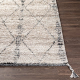 Introducing our Birch Collection Bohemian Global rug, lovingly hand-knotted in India from recycled PET yarn. This sustainable choice not only aids the environment but also provides a cozy medium pile underfoot for your comfort. Its boho-global style infuses any room with a vibrant, eclectic charm that's sure to be the talk of any gathering. Amethyst Home provides interior design, new home construction design consulting, vintage area rugs, and lighting in the Washington metro area.