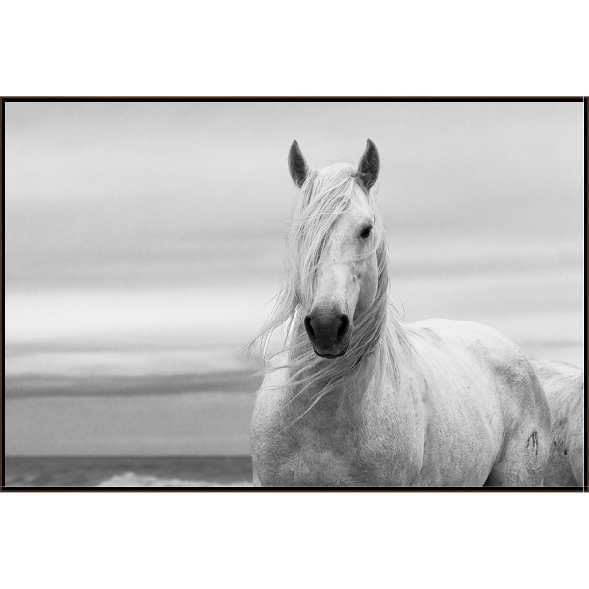 The Noble Horse Art