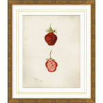 Featuring Pomological Strawberry Framed Art by Wendover Art at Amethyst Home. This Pomological Strawberry Art is a unique and beautiful addition to any home decor. Made from high-quality materials, this art piece showcases the natural beauty of strawberries while adding a touch of elegance. Perfect for fruit lovers and art enthusiasts, this piece is a must-have. Amethyst Home provides interior design, new home construction design consulting, vintage area rugs, and lighting in the Miami metro area.