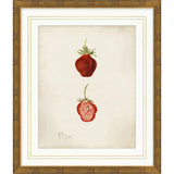 Featuring Pomological Strawberry Framed Art by Wendover Art at Amethyst Home. This Pomological Strawberry Art is a unique and beautiful addition to any home decor. Made from high-quality materials, this art piece showcases the natural beauty of strawberries while adding a touch of elegance. Perfect for fruit lovers and art enthusiasts, this piece is a must-have. Amethyst Home provides interior design, new home construction design consulting, vintage area rugs, and lighting in the Miami metro area.