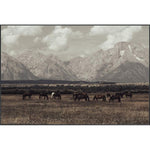 Featuring Wild West Legends I Art by Leftbank Art at Amethyst Home. Enjoy the Wild West as you take in the stunning artwork of Wild West Legends I. Let this vibrant art ignite your imagination and transport you to a frontier world of limitless possibilities.
Artist:Tatiana AlexandraProduct Type: CanvasFinish: Image Brush Gel Framed as shown. Amethyst Home provides interior design, new home construction design consulting, vintage area rugs, and lighting in the Omaha metro area.