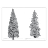 The Architecture of Trees