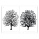 The Architecture of Trees