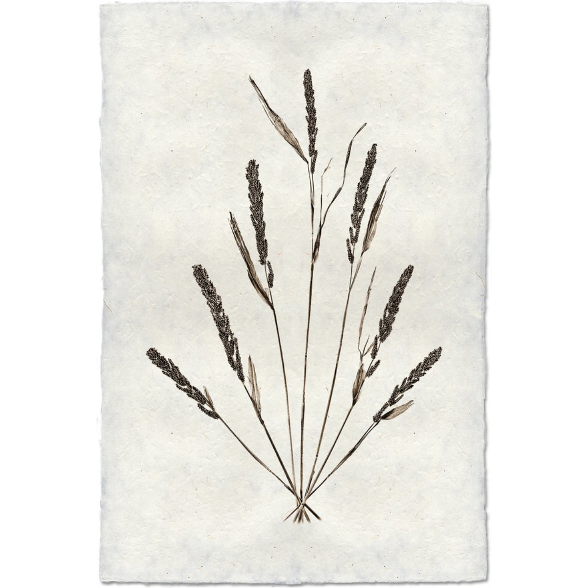 Grain Form
