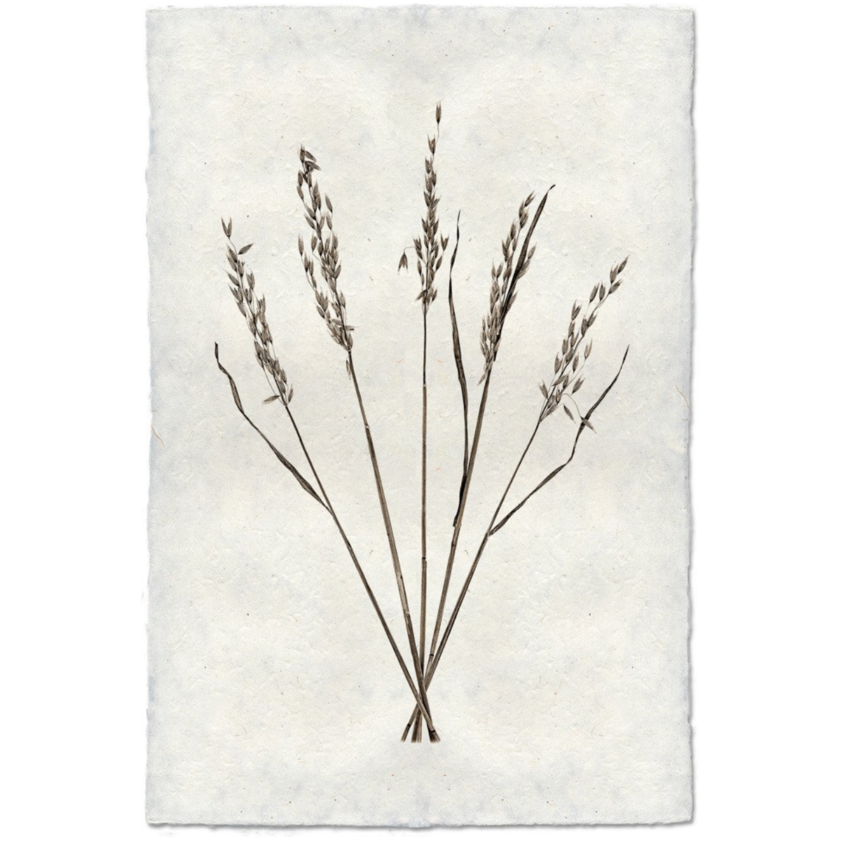 Oat Form