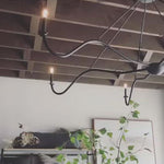 Add unique and modern lighting to a room with this Spider Chandelier from Cisco Brothers. The curved arms add beautiful sight lines to the fixture and plenty of light. This light fixture sets any room apart and comes available in either a "rust" or "flat black" finish in three different sizes.