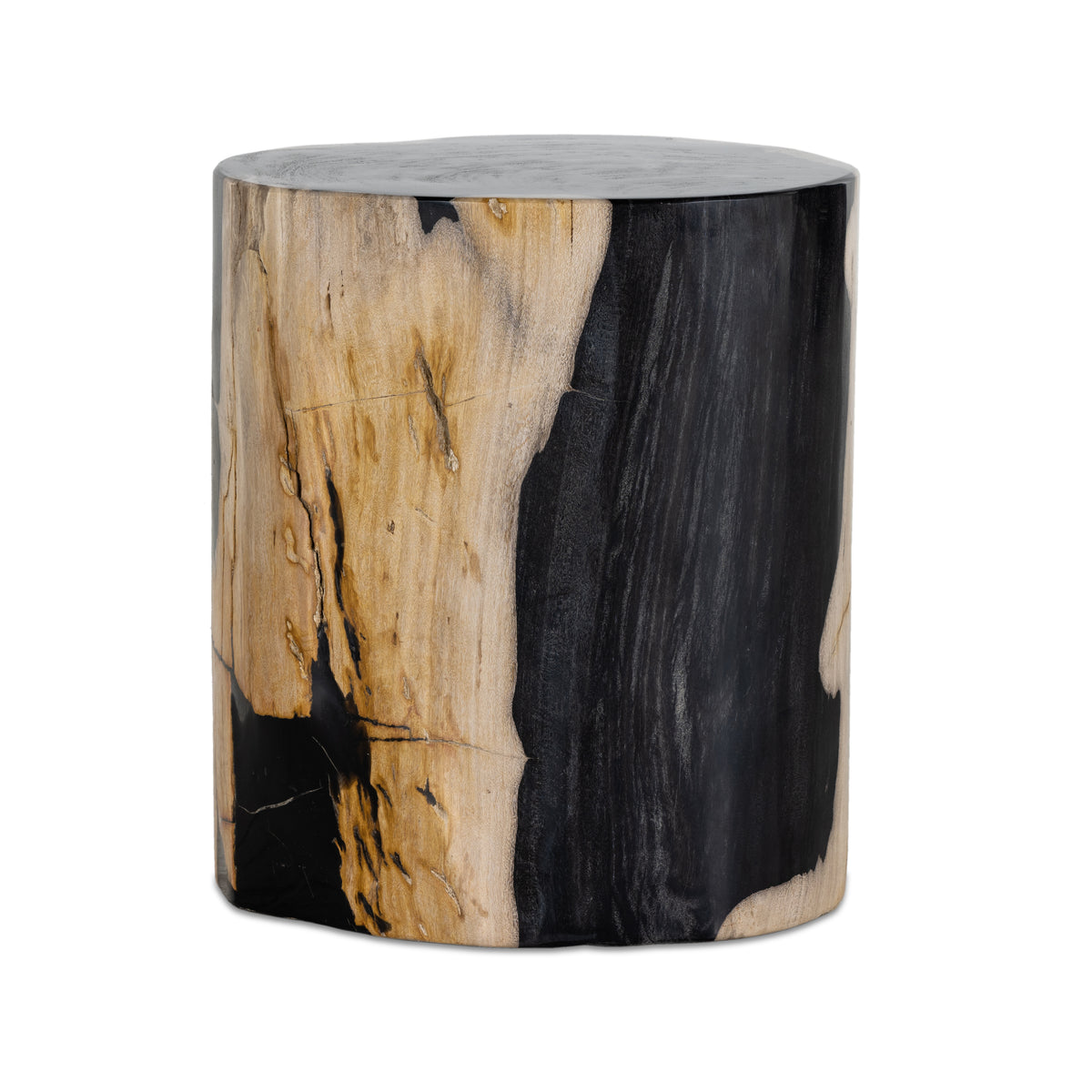 Kos Light Petrified Wood End Table | shipping 12/10/2025