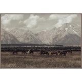 Featuring Wild West Legends I Art by Leftbank Art at Amethyst Home. Enjoy the Wild West as you take in the stunning artwork of Wild West Legends I. Let this vibrant art ignite your imagination and transport you to a frontier world of limitless possibilities.
Artist:Tatiana AlexandraProduct Type: CanvasFinish: Image Brush Gel Framed as shown. Amethyst Home provides interior design, new home construction design consulting, vintage area rugs, and lighting in the Omaha metro area.