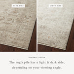 The Sonnet Collection is a versatile area rug with traditional motifs that appear to float and fade from the surface, the result of a new power-loomed construction that combines yarns of different textures. The rug is made of space-dyed polypropylene and polyester for a gradient range of colors that shift with the light. Amethyst Home provides interior design, new home construction design consulting, vintage area rugs, and lighting in the Los Angeles metro area.