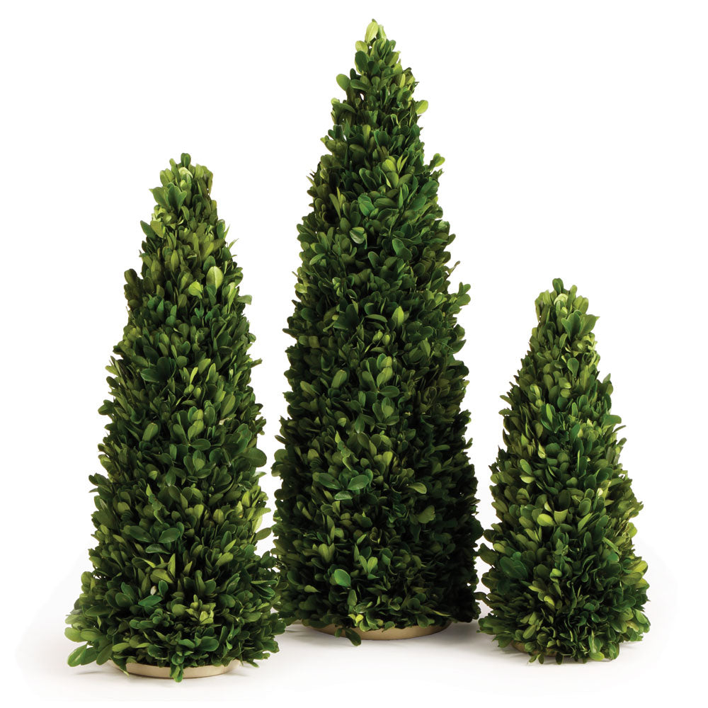 Boxwood Mini Trees, Set Of 3 | ready to ship!