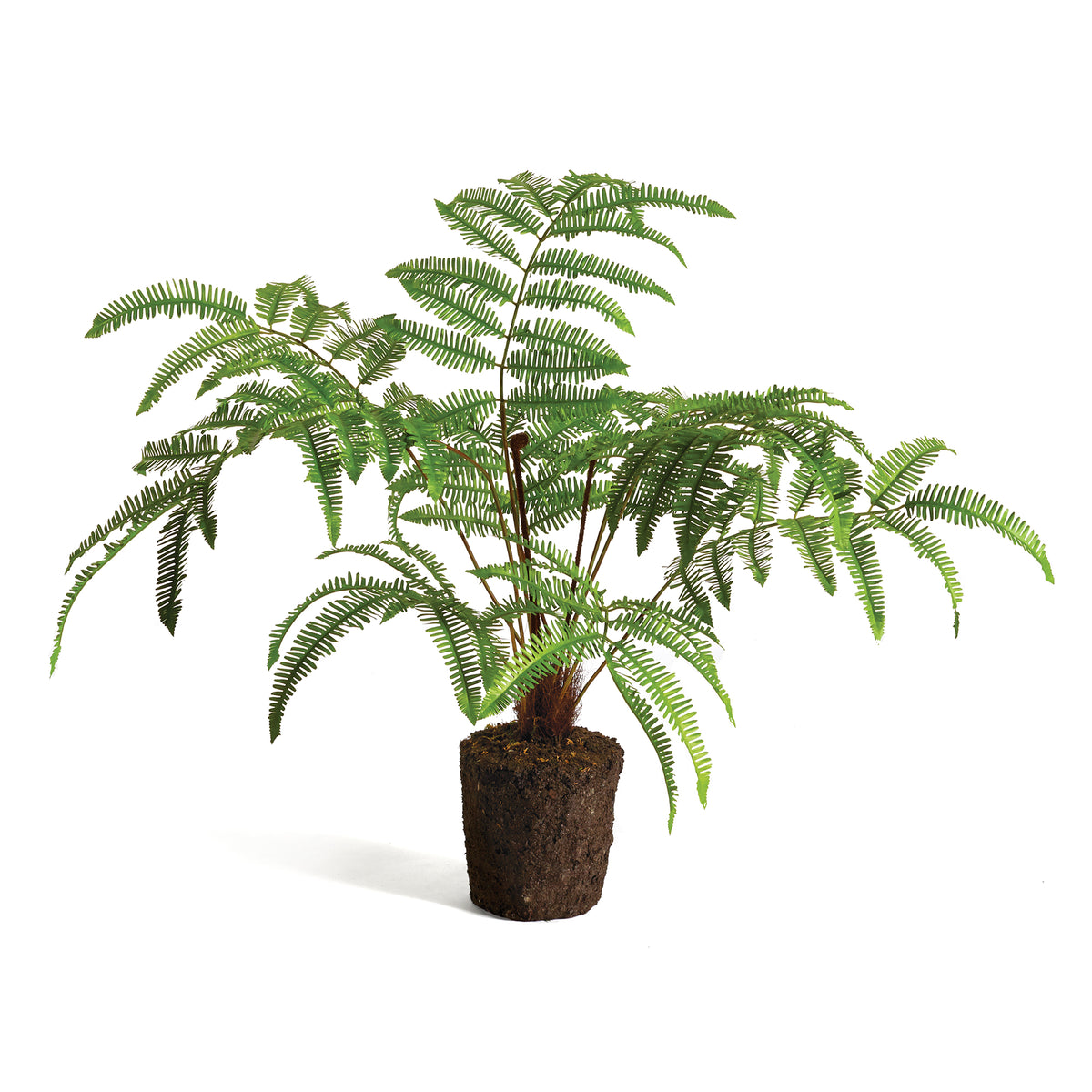 Forest Fern Drop-In 29.5" | ready to ship!