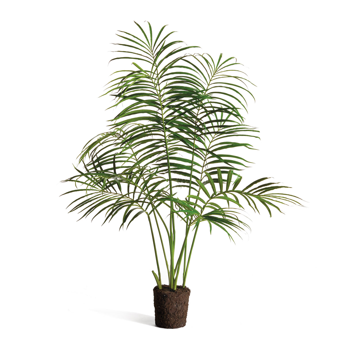 Palm Tree Drop-In 50" | ready to ship!