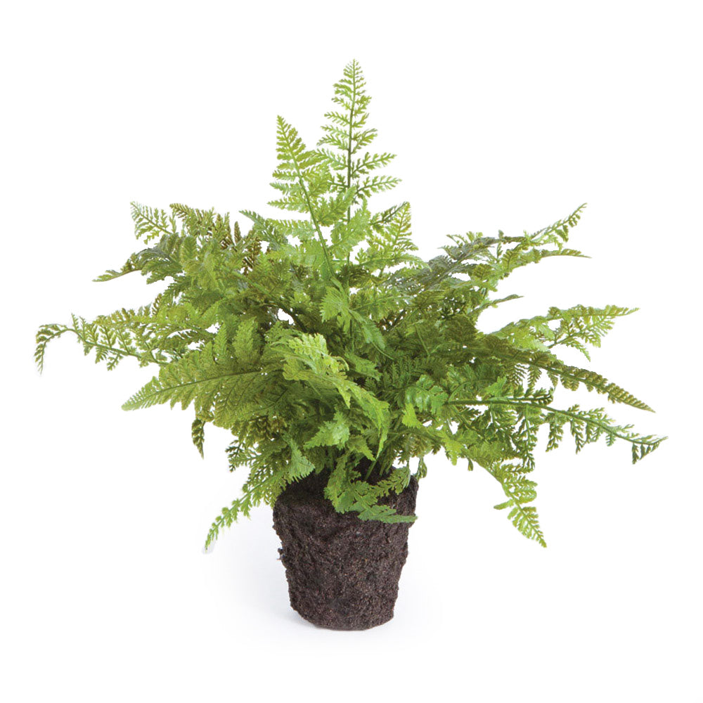 Soft Fern Drop-In 10.5" | please contact us for ETA!