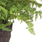 100% realistic- a perfect copy of your favorite greens. These drop-ins are no-hassle works of art. Right down to the carefully crafted root ball, just as nature designed. Amethyst Home provides interior design, new construction, custom furniture, and area rugs in the Monterey metro area.