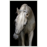 Featuring Pasha Art by Wendover Art at Amethyst Home. The Pasha art piece is a chic addition to your space. This view of horse art gives a brings a sense of peace and comfort to any room.Specialty: Gallery Wrapped Canvas, Artist EnhancedMedium: CanvasTreatment: Gallery WrappedSize: 51"w x 83"h Framed as shown. Amethyst Home provides interior design services, furniture, rugs, and lighting in the Kansas City metro area.