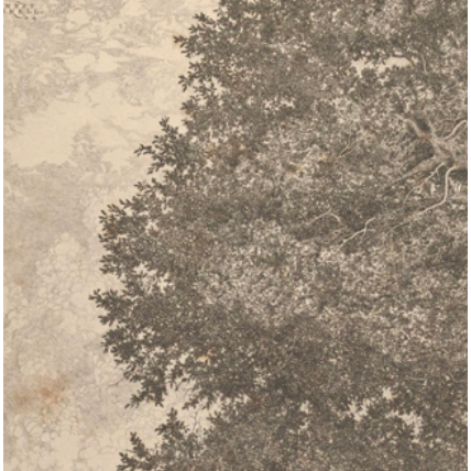 Grandfather's Tree Art