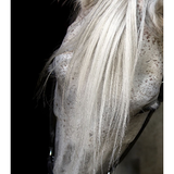 Featuring Pasha Art by Wendover Art at Amethyst Home. The Pasha art piece is a chic addition to your space. This view of horse art gives a brings a sense of peace and comfort to any room.Specialty: Gallery Wrapped Canvas, Artist EnhancedMedium: CanvasTreatment: Gallery WrappedSize: 51"w x 83"h Framed as shown.  Amethyst Home provides interior design, new home construction design consulting, vintage area rugs, and lighting in the Charlotte metro area.