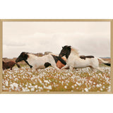 Wildflower Stallions Art