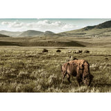 Featuring Yellowstone Dreams Art by Wendover Art at Amethyst Home. Picturesque in high definition.  Modern acrylic mount to float off the wall.
Specialty: Giclee on Acrylic, Mounted on SubframeMedium : AcrylicSize : 69.5"w x 46.5"hTreatment : Mounted on Subframe Framed as shown. Amethyst Home provides interior design, new home construction design consulting, vintage area rugs, and lighting in the Washington metro area.