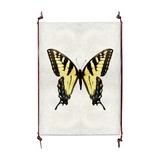 Butterfly #3