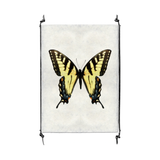 Butterfly #3
