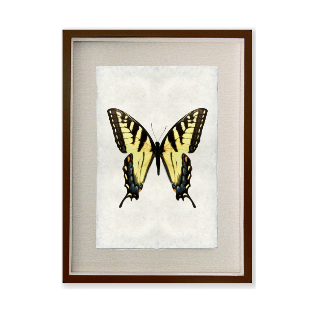 Butterfly #3