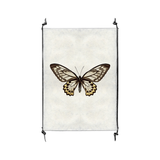 Butterfly #12