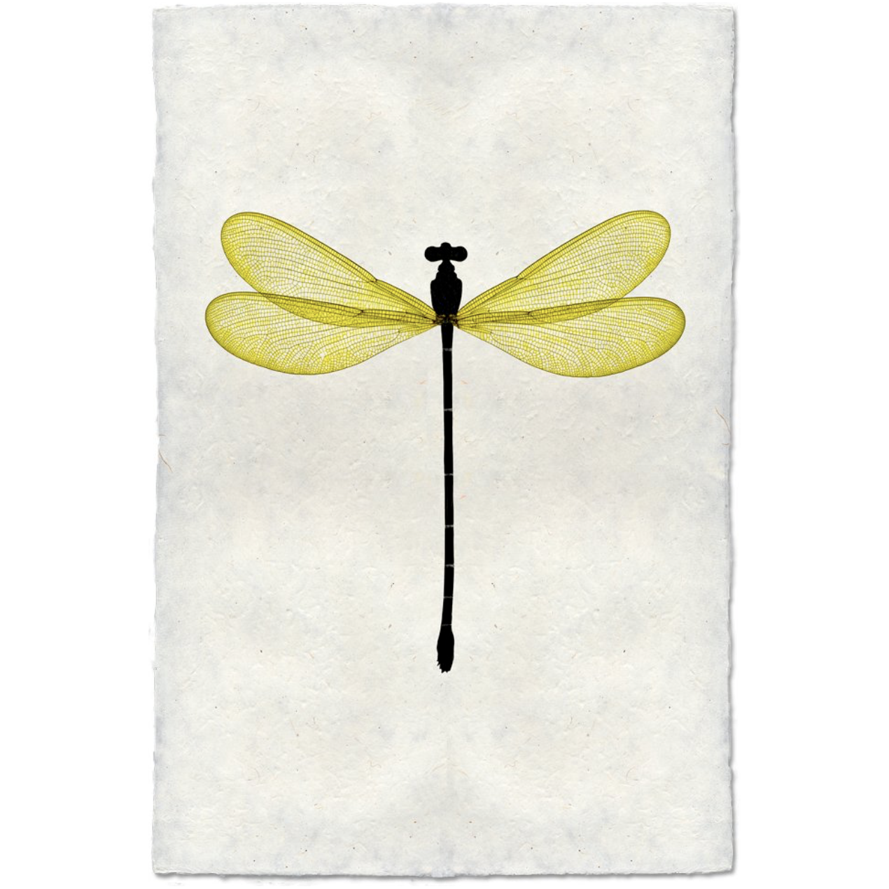 Yellow Damsel - Amethyst Home