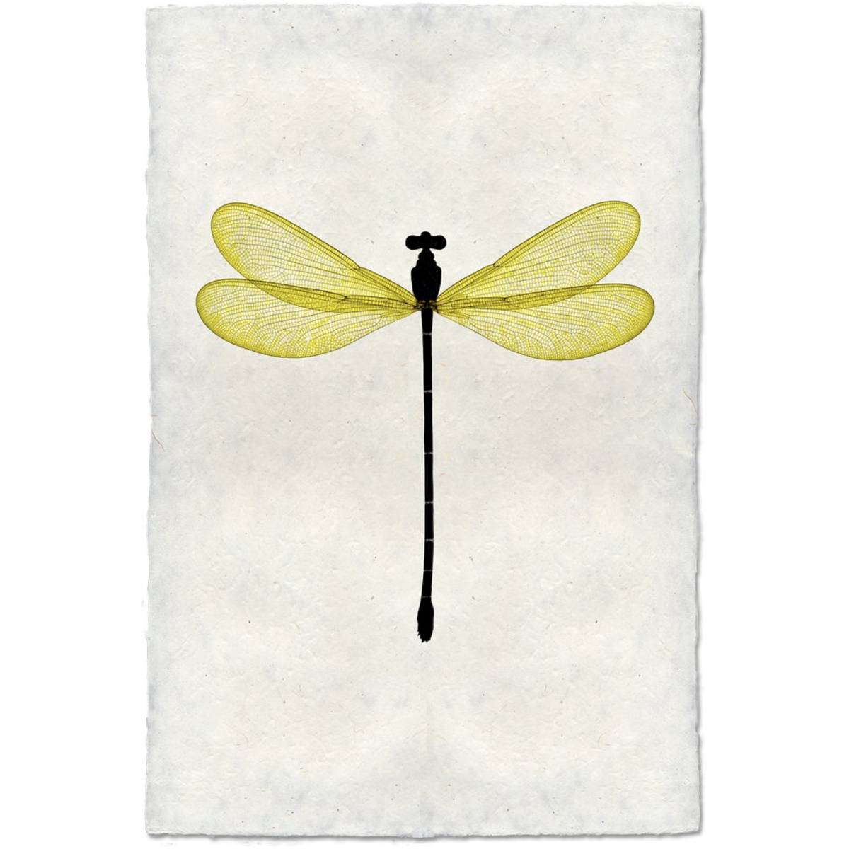 Yellow Damsel