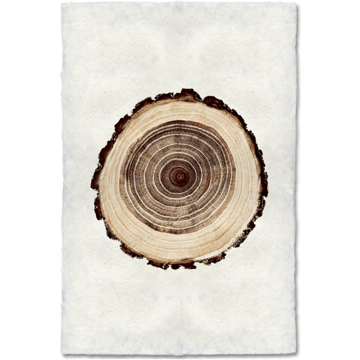 Oak